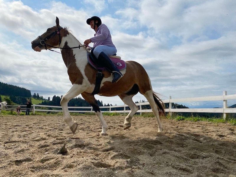 Reitstunden-im-Urlaub-Sandplatz