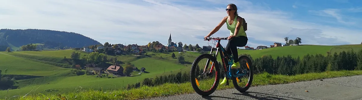 Urlaub in Kärnten Sonnenort Diex