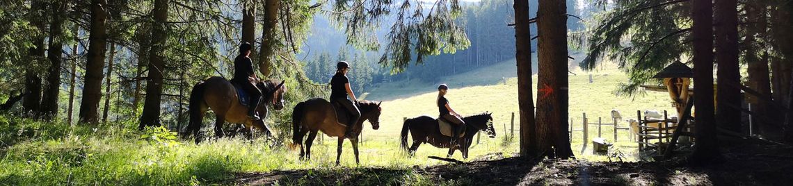 Reiten
