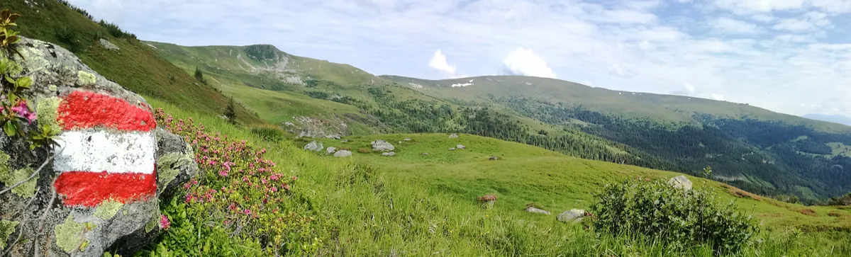 Urlaub auf der Alm