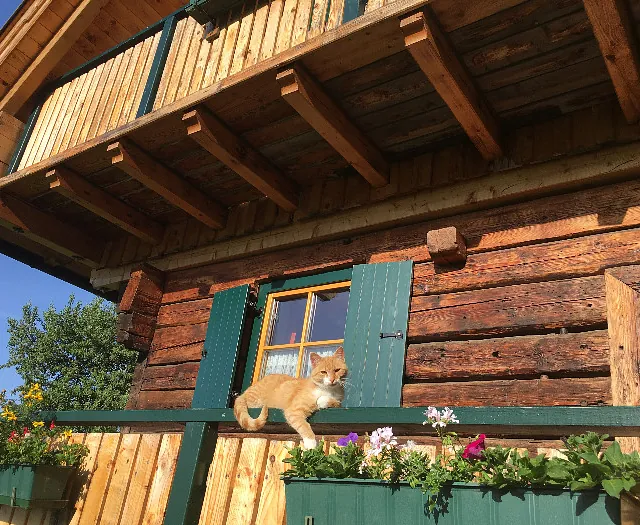 Berghütte am Südhang der Saualpe - Chalet Kärnten