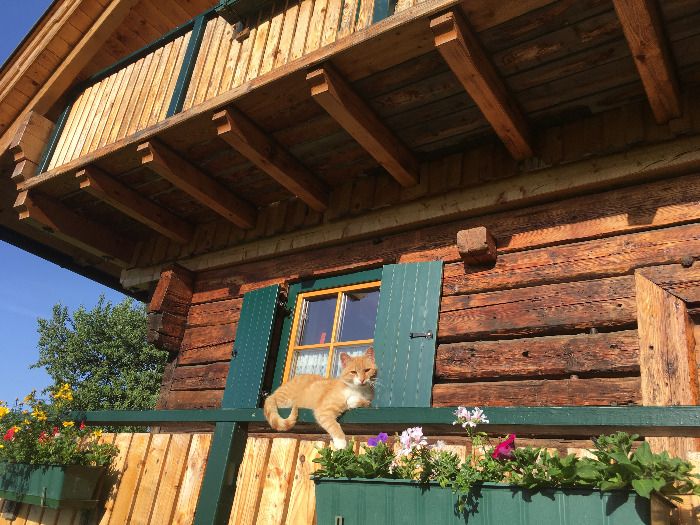 Berghütte am Südhang der Saualpe - Chalet Kärnten
